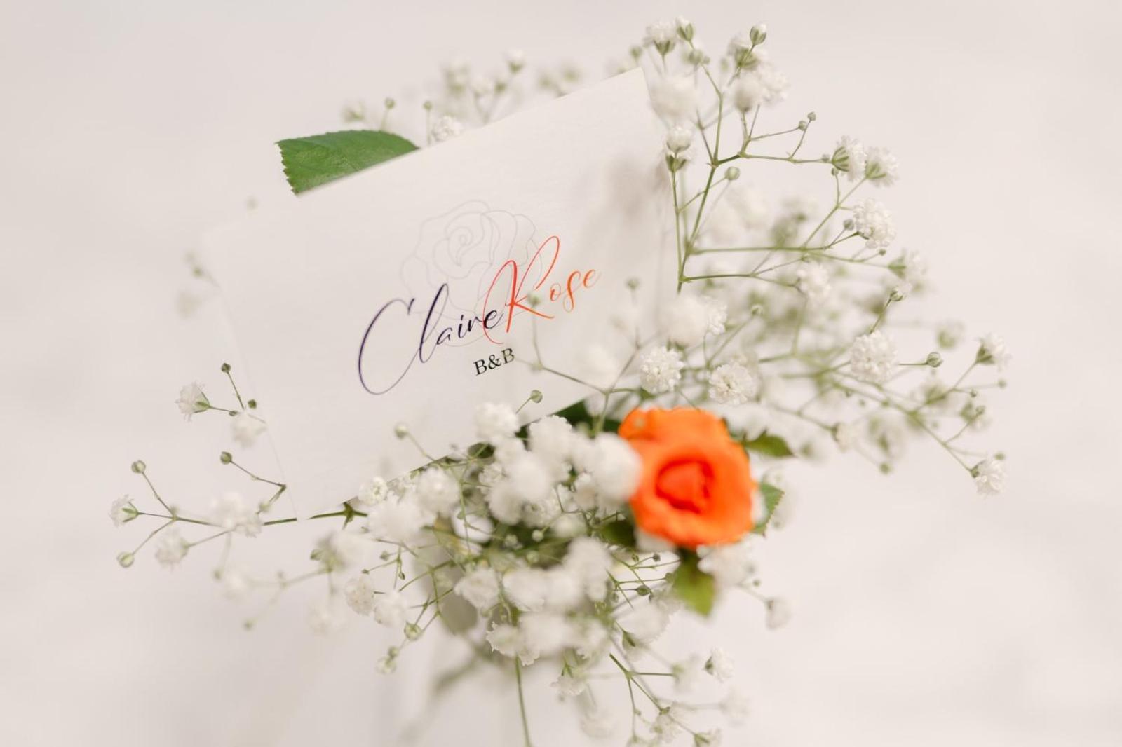 Claire Rose B&B Матера Экстерьер фото